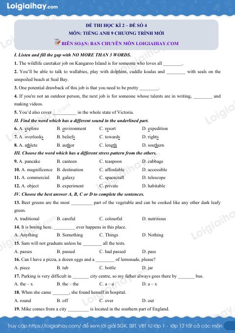 Đề số 4 - Đề kiểm tra học kỳ 2 - Tiếng Anh 9 mới